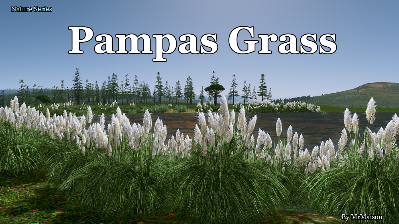 Pampas Grass Promo.jpg